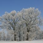 Heute gegen 12.00 Uhr- minus 17 Grad!