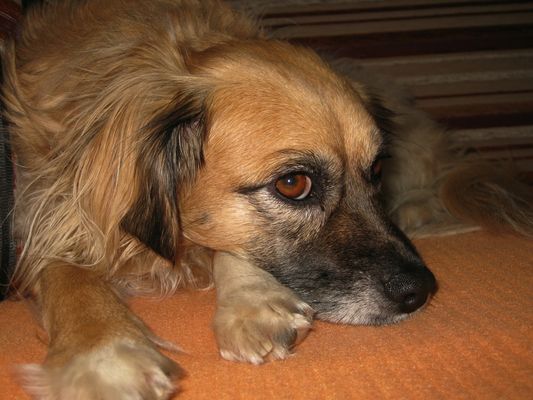 Heute, genau vor vier Jahren...