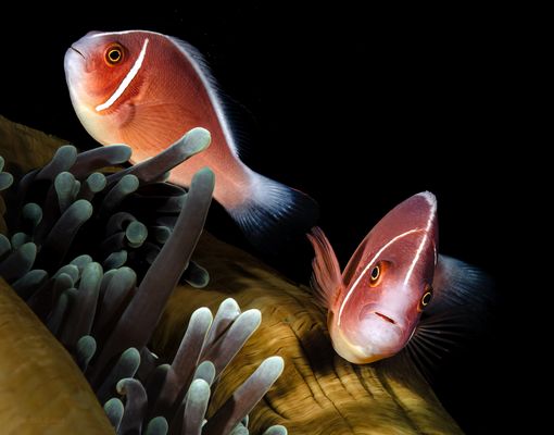 °°°Heute geschlossen°°°