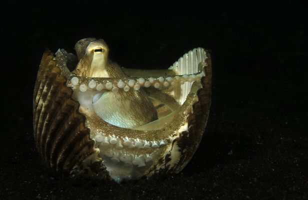 "heute geschlossen" - reload