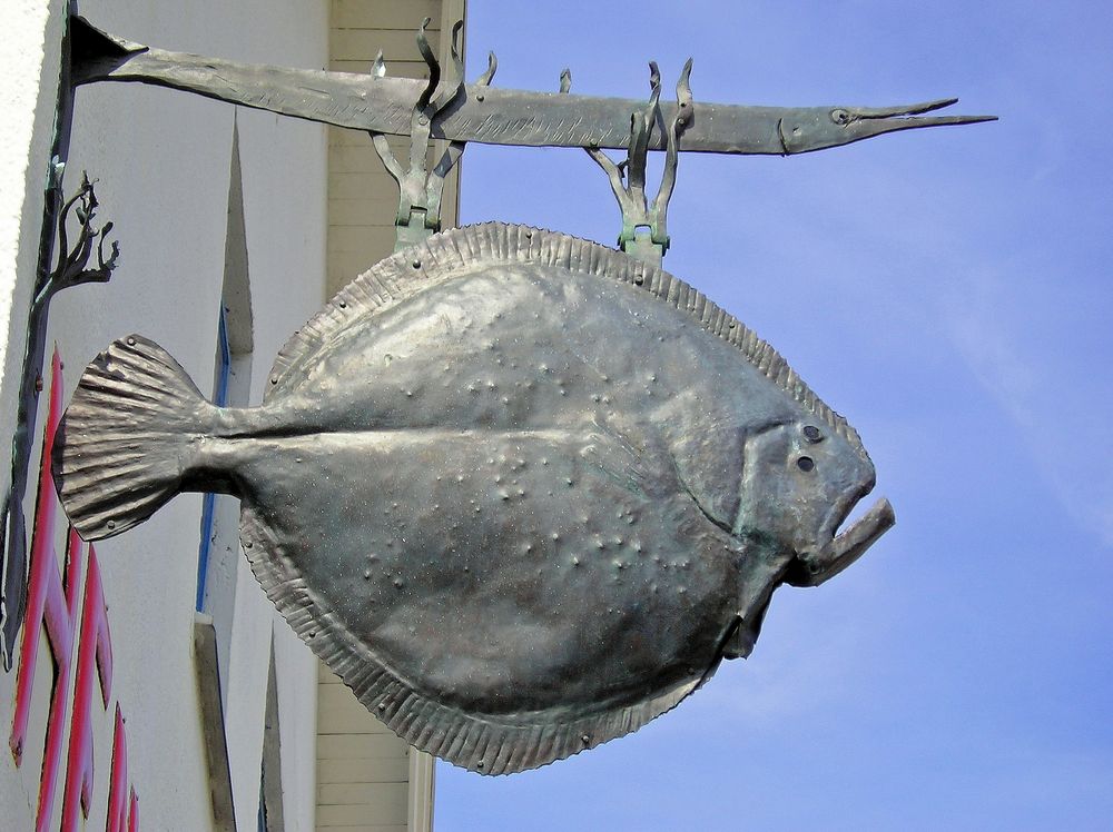 Fisch Heute Fisch Heute