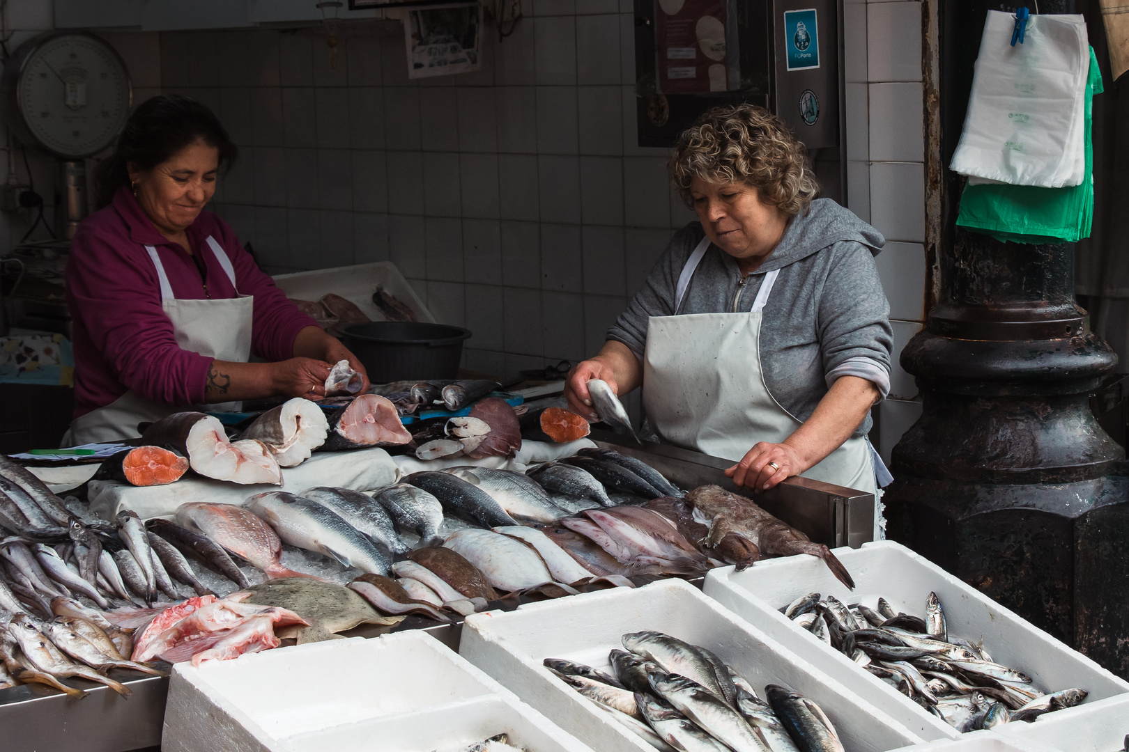 heute gibts Fisch