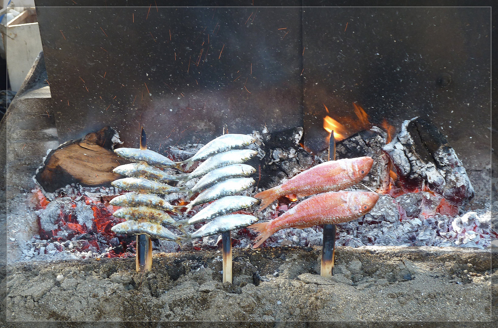 heute gibt's Fisch