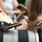 Heute gibt´s für dich, Herr Fotograf, keine Fotos.