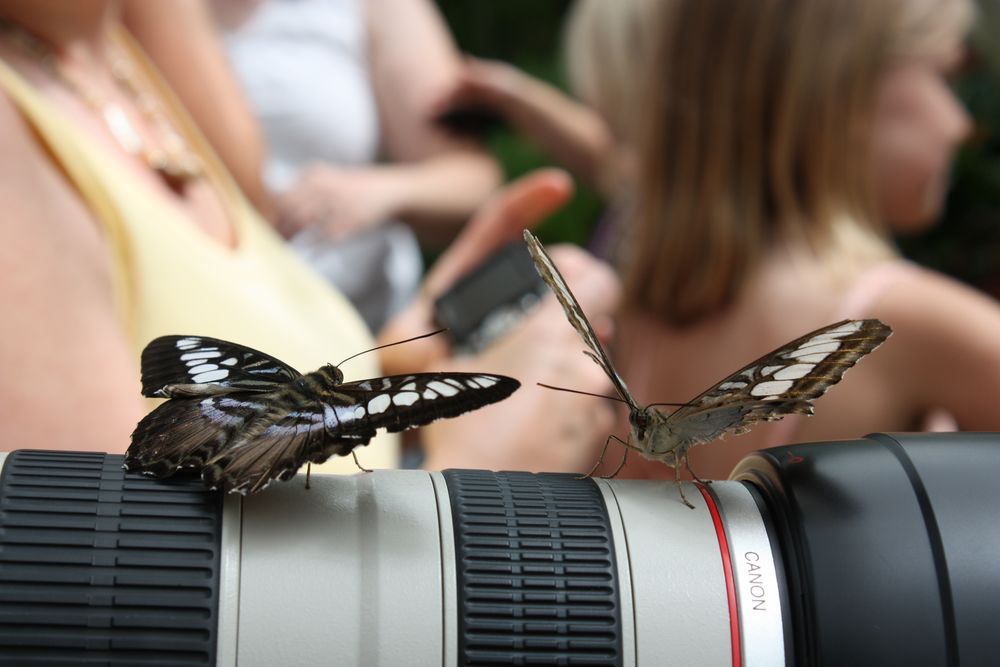 Heute gibt´s für dich, Herr Fotograf, keine Fotos. von smilerina 