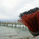 heute habe ich keine Zeit, muss den Strand sauberfegen