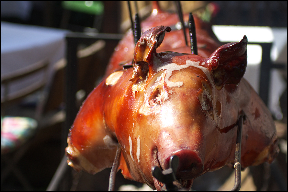 Heute haben alle Schwein gehabt...