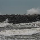 Heute hat der Marin-Wind nochmal voll aufgedreht