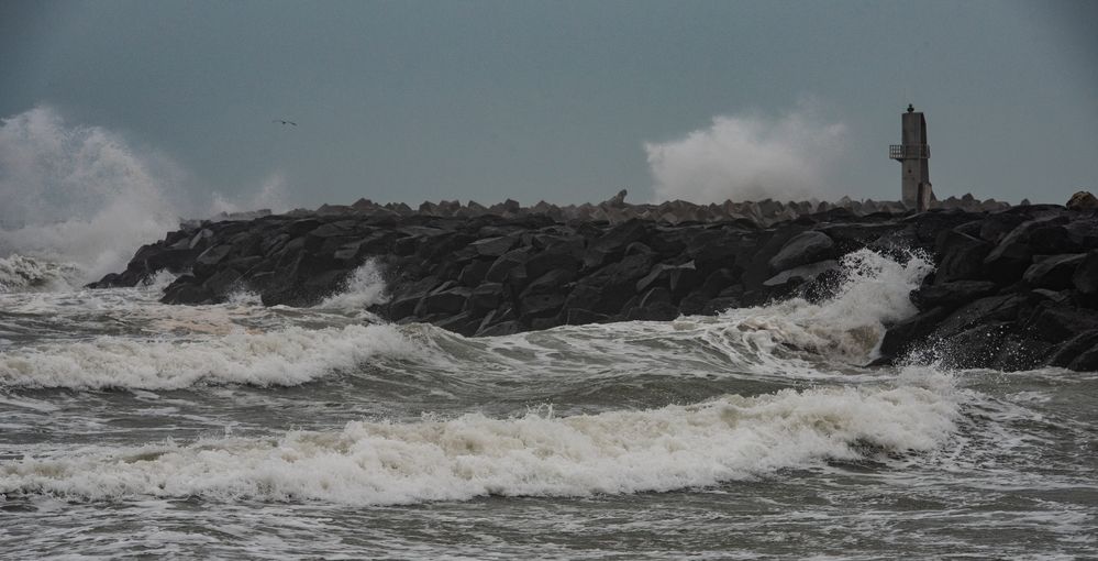 Heute hat der Marin-Wind nochmal voll aufgedreht