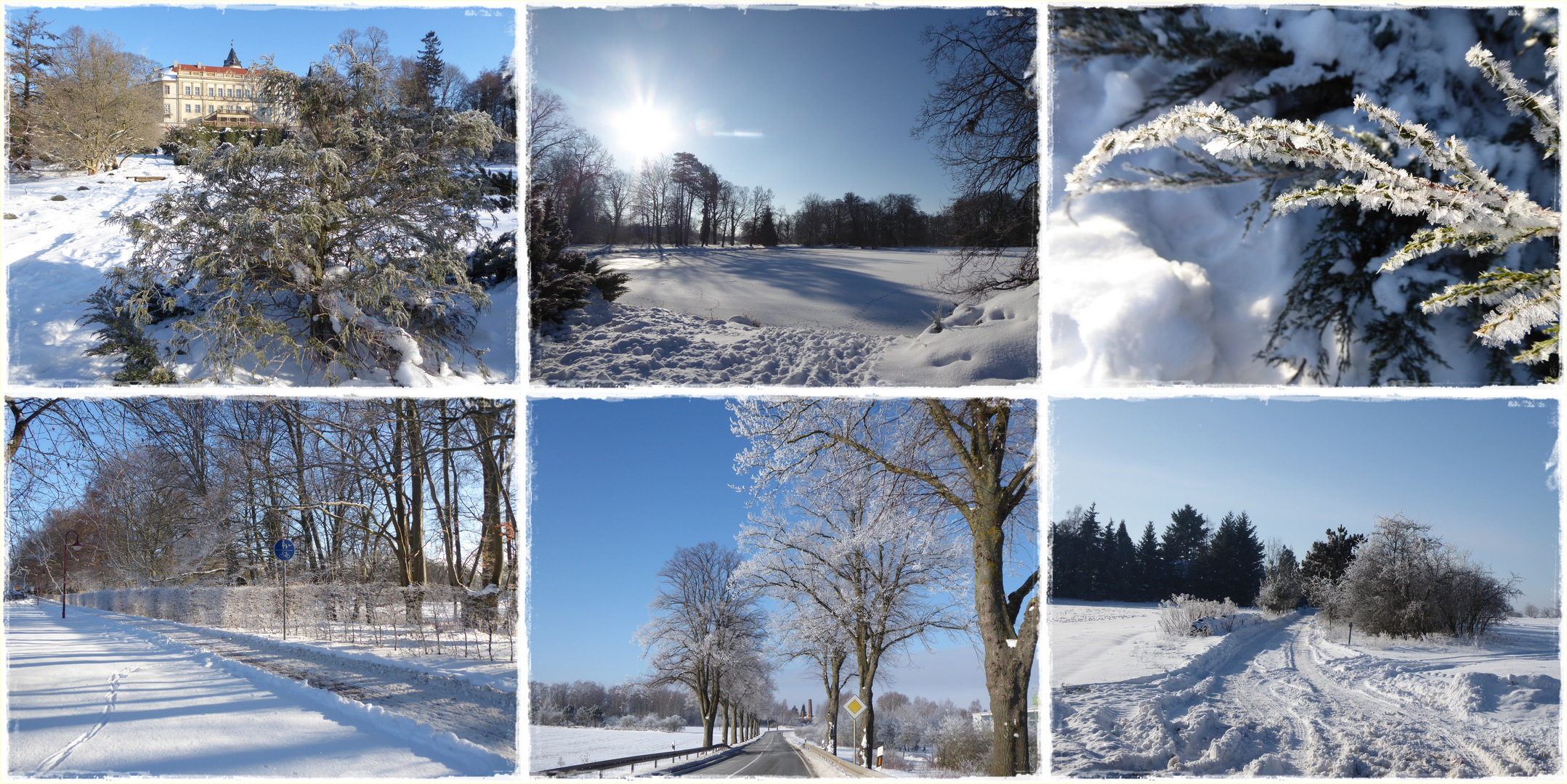 heute hat die Natur nochmal gezaubert