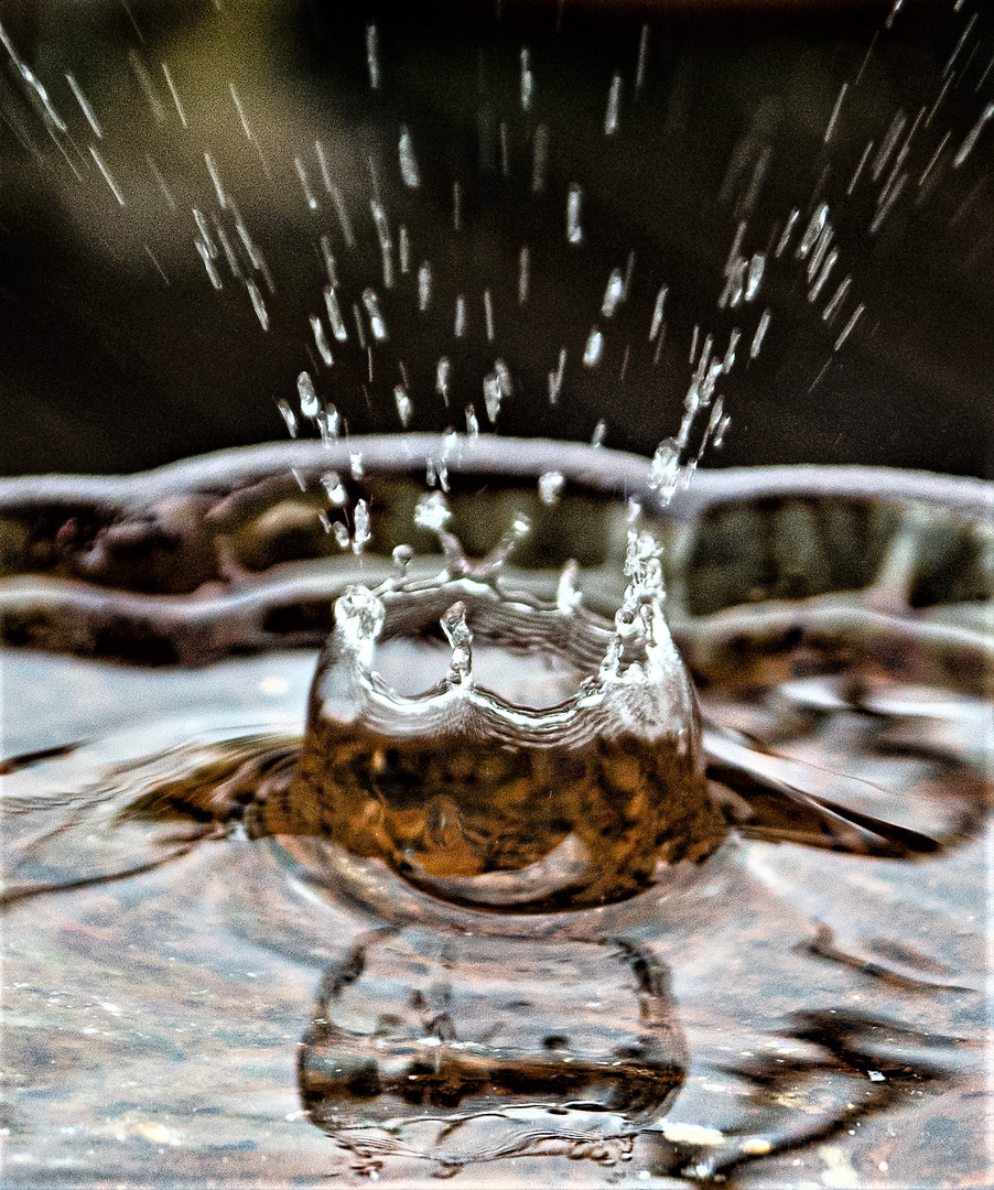 heute hat es Foto & Bild sonstiges, wasser im detail, wasser Bilder auf