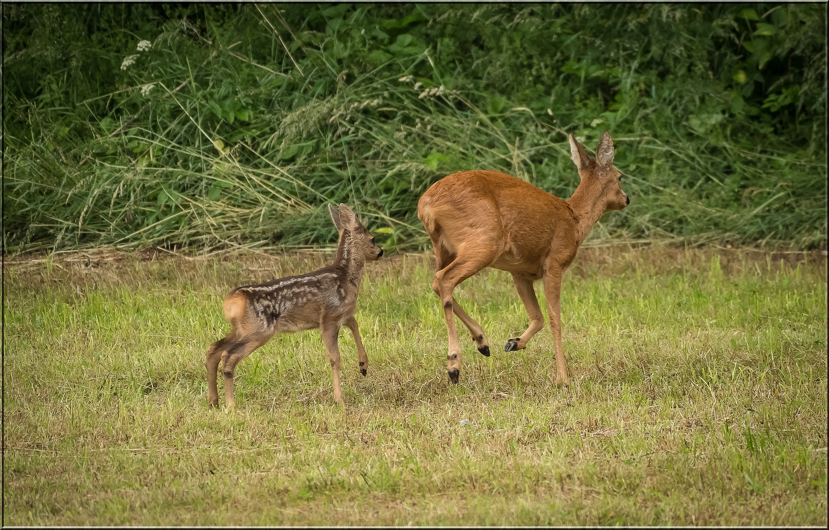 Heute hat scheinbar mein... Foto & Bild | natur, tiere, wildlife Bilder ...