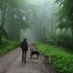 Heute Herbst im August 