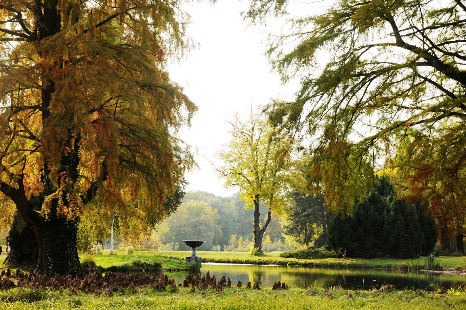 Heute - herbstliche Impressionen aus dem Park ohne Sorgen