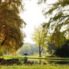 Heute - herbstliche Impressionen aus dem Park ohne Sorgen