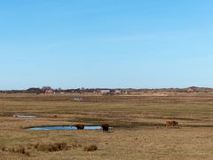 Heute im Borkumer Ostland