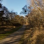 Heute im Borkumer Südwald