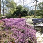 Heute im Botanischen Garten von Solingen