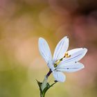 Heute im Britzer Garten