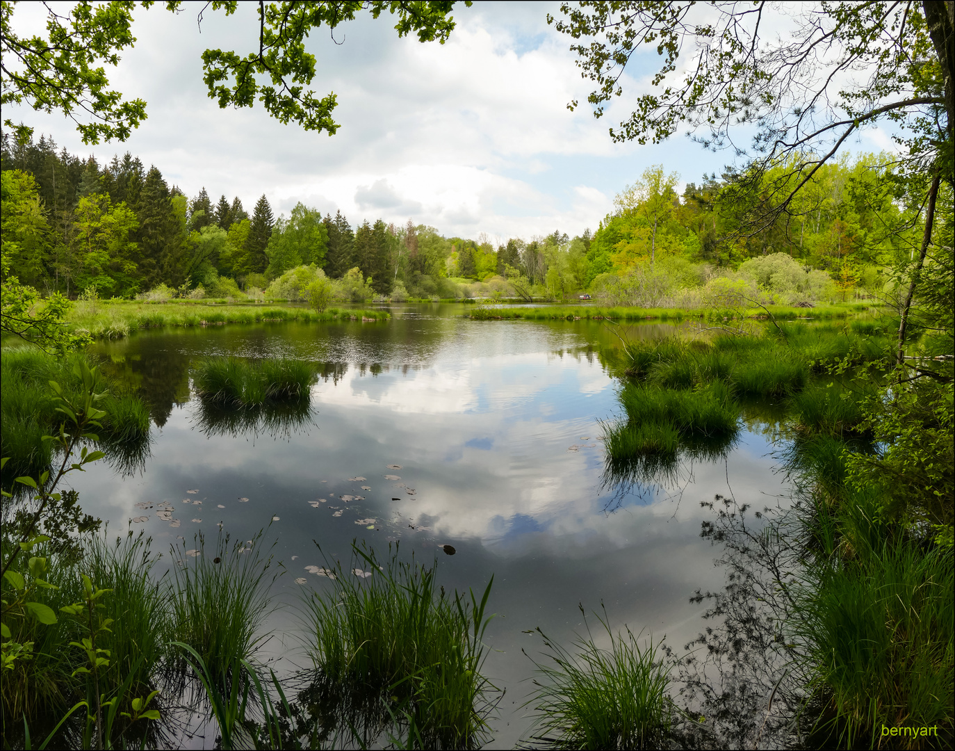 heute im Dingelsdorfer Ried