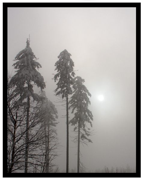 heute im Erzgebirge