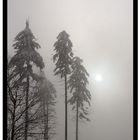 heute im Erzgebirge