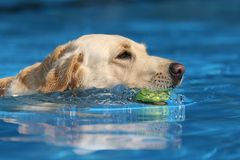 heute im Freibad mit Sonne