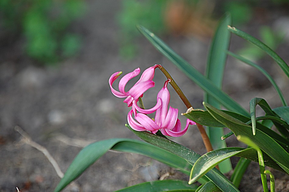 heute im Garten!