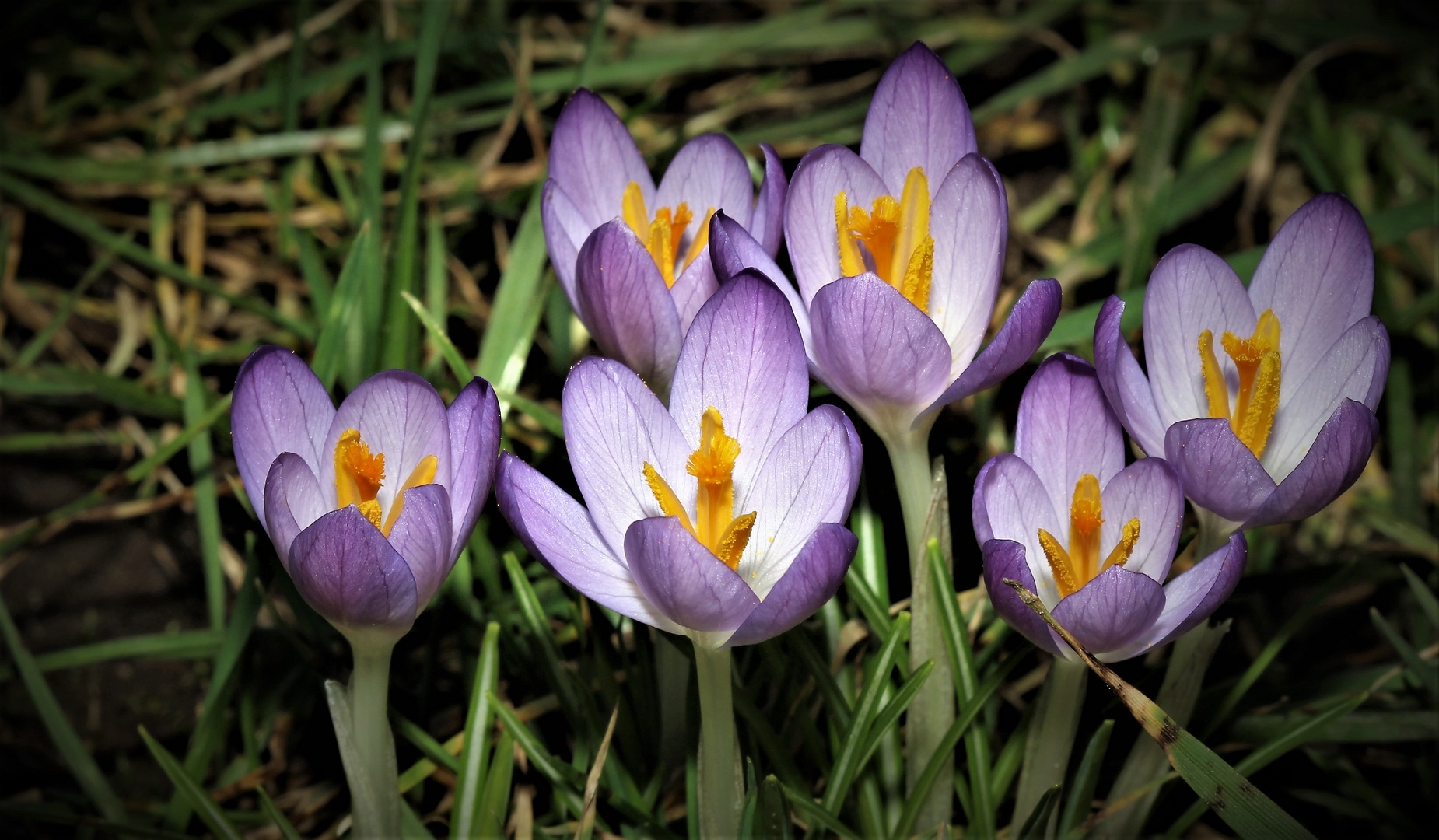 Heute im Garten