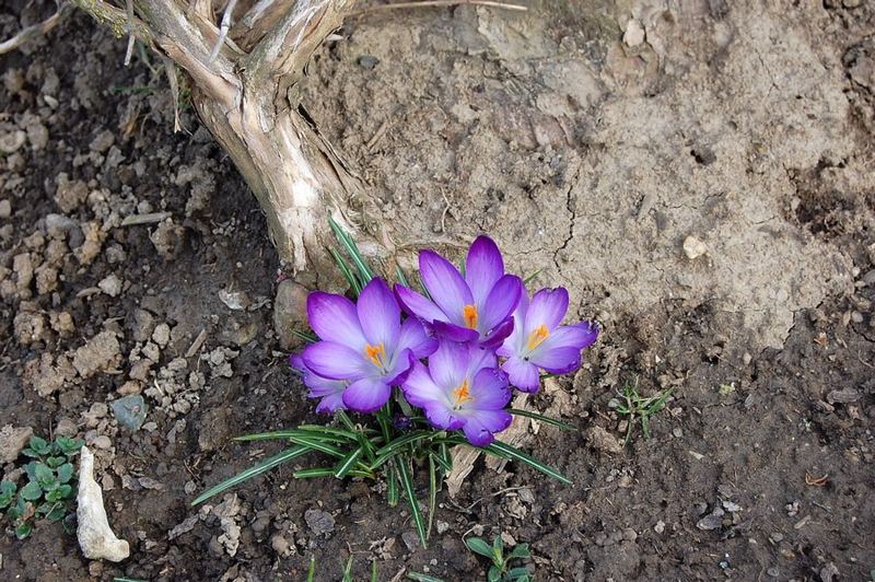 heute im Garten!