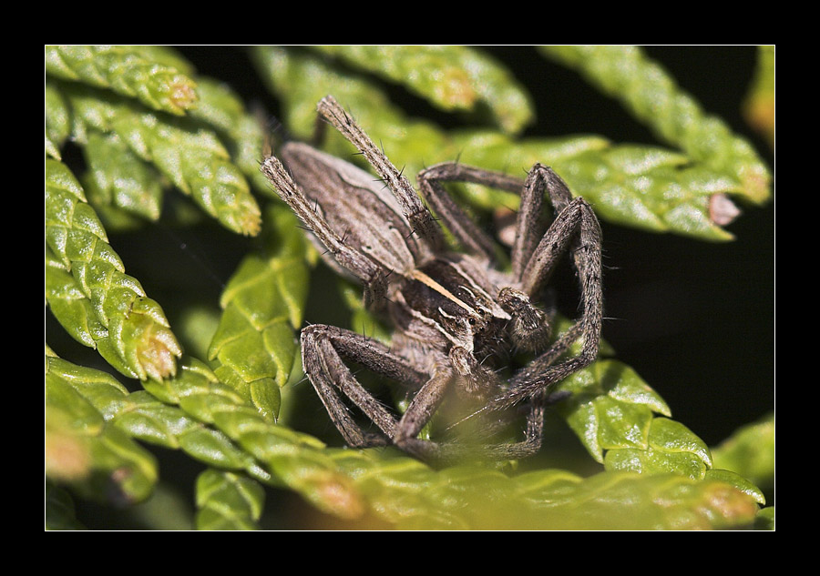 Heute im Garten 3