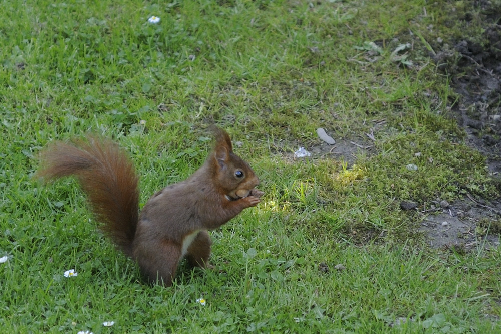 Heute im Garten