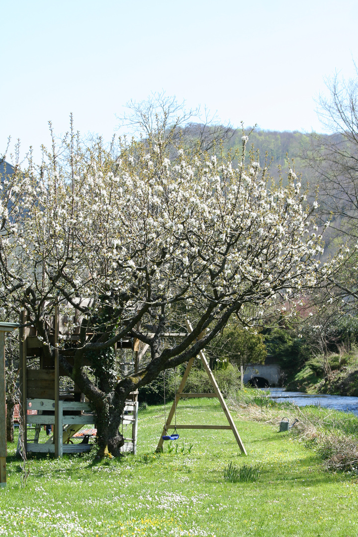 Heute im Garten