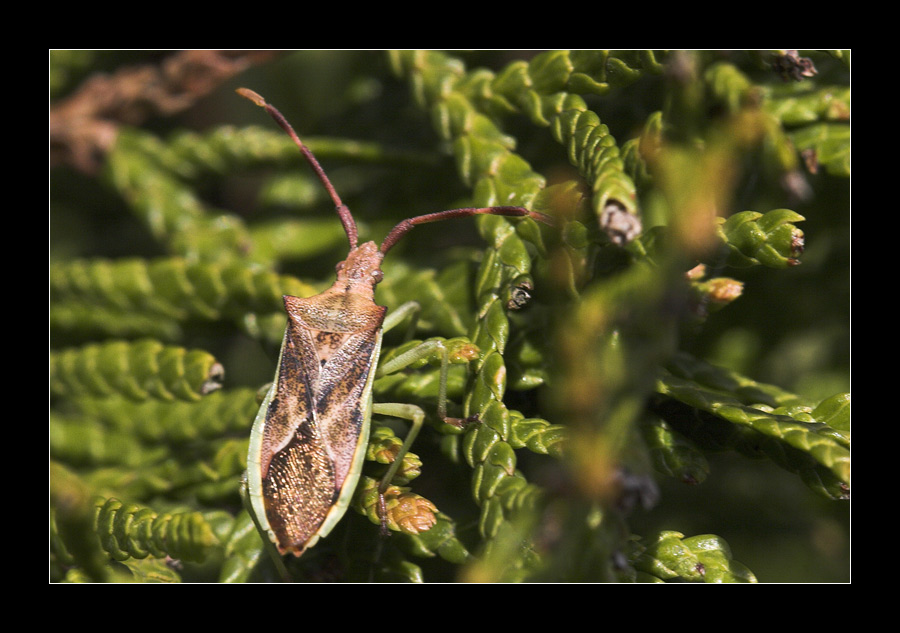 Heute im Garten 4