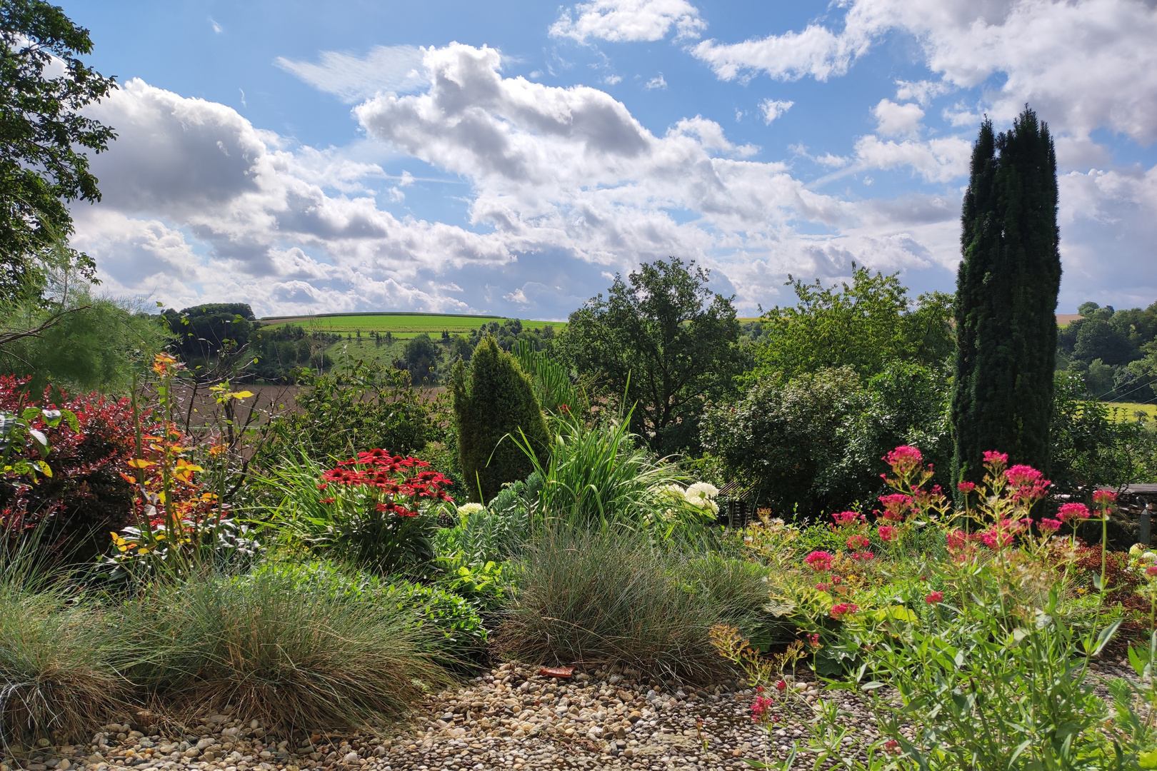 heute im Garten