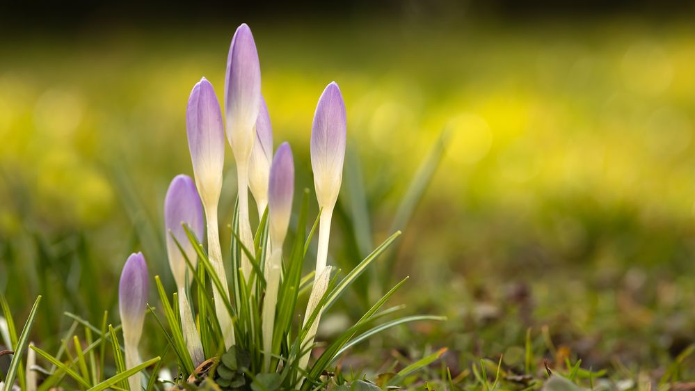 Heute im Garten