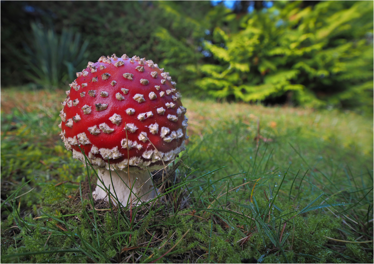 Heute im Garten