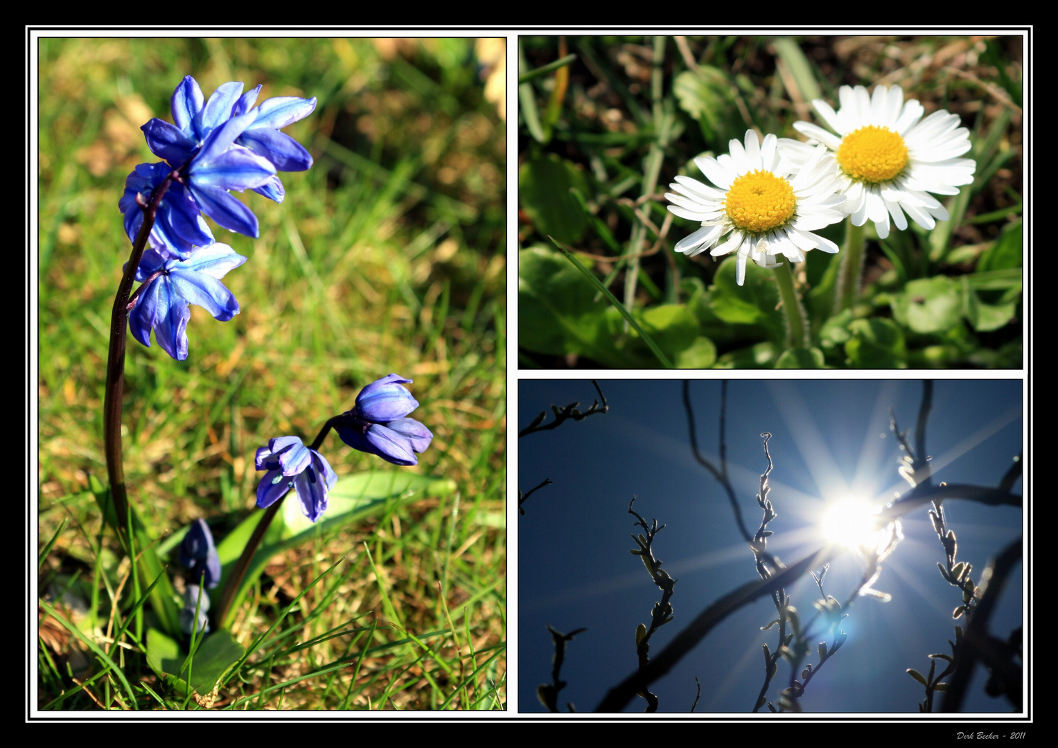 Heute im Garten....