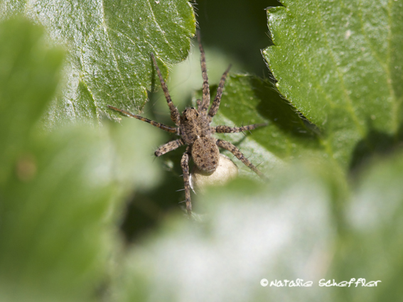 Heute im Garten II