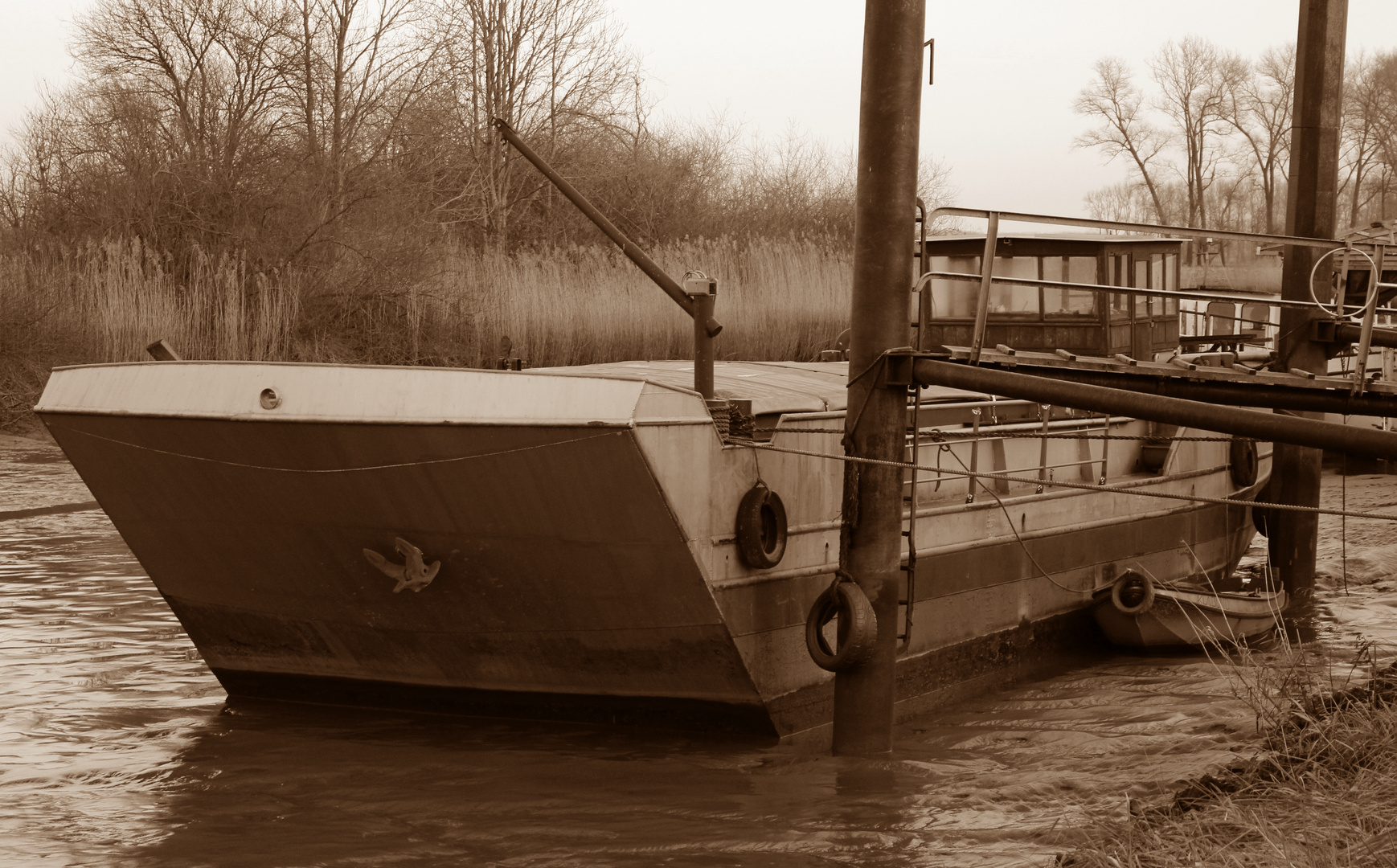 heute im Hafen Wischhafen ...