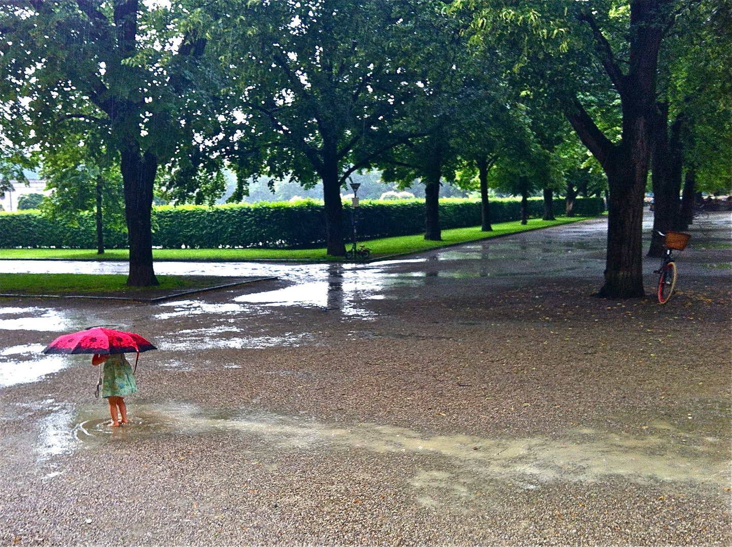 Heute im Hofgarten