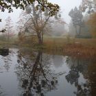 Heute im Landschaftspark Degnershausen