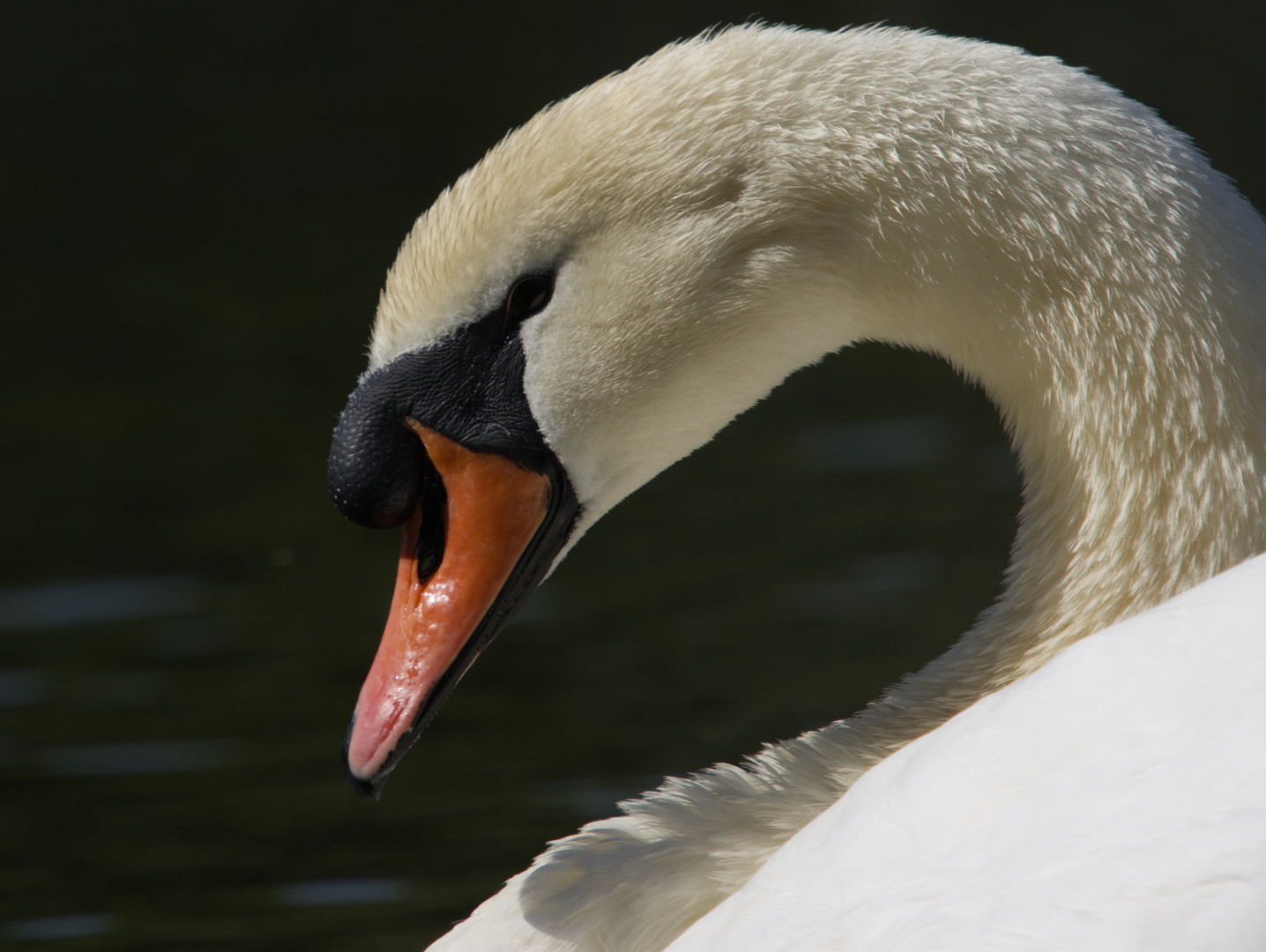 Heute im Luisenpark