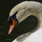 Heute im Luisenpark