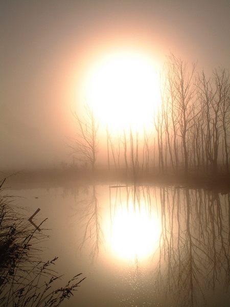 heute im Moor 3