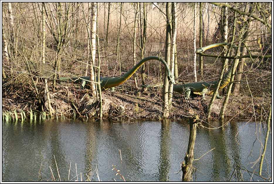 Heute im Moor