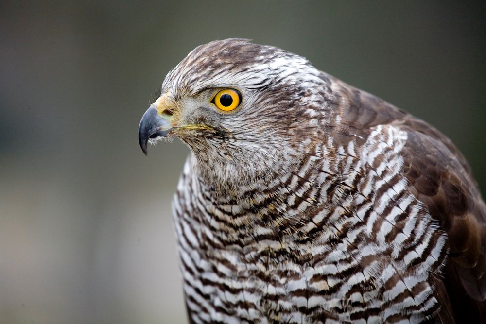 Heute im Nordsternpark