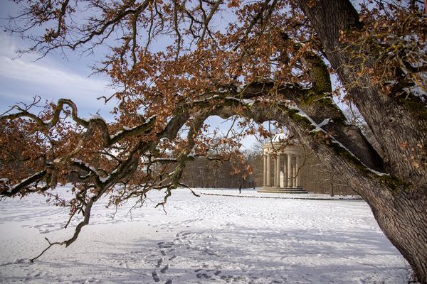 Heute im Nymphenburger Park