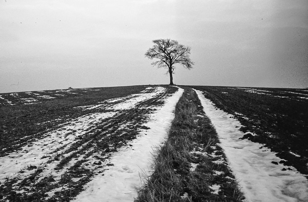 Heute im Oberbergischen.       ..DSC_8509