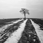 Heute im Oberbergischen.       ..DSC_8509